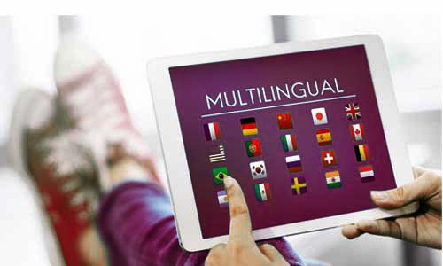 Multilingual Website SEO Service