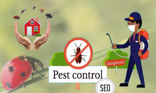 SEO for Pest Control And Exterminators