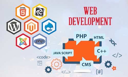 Website Development Company in Delhi