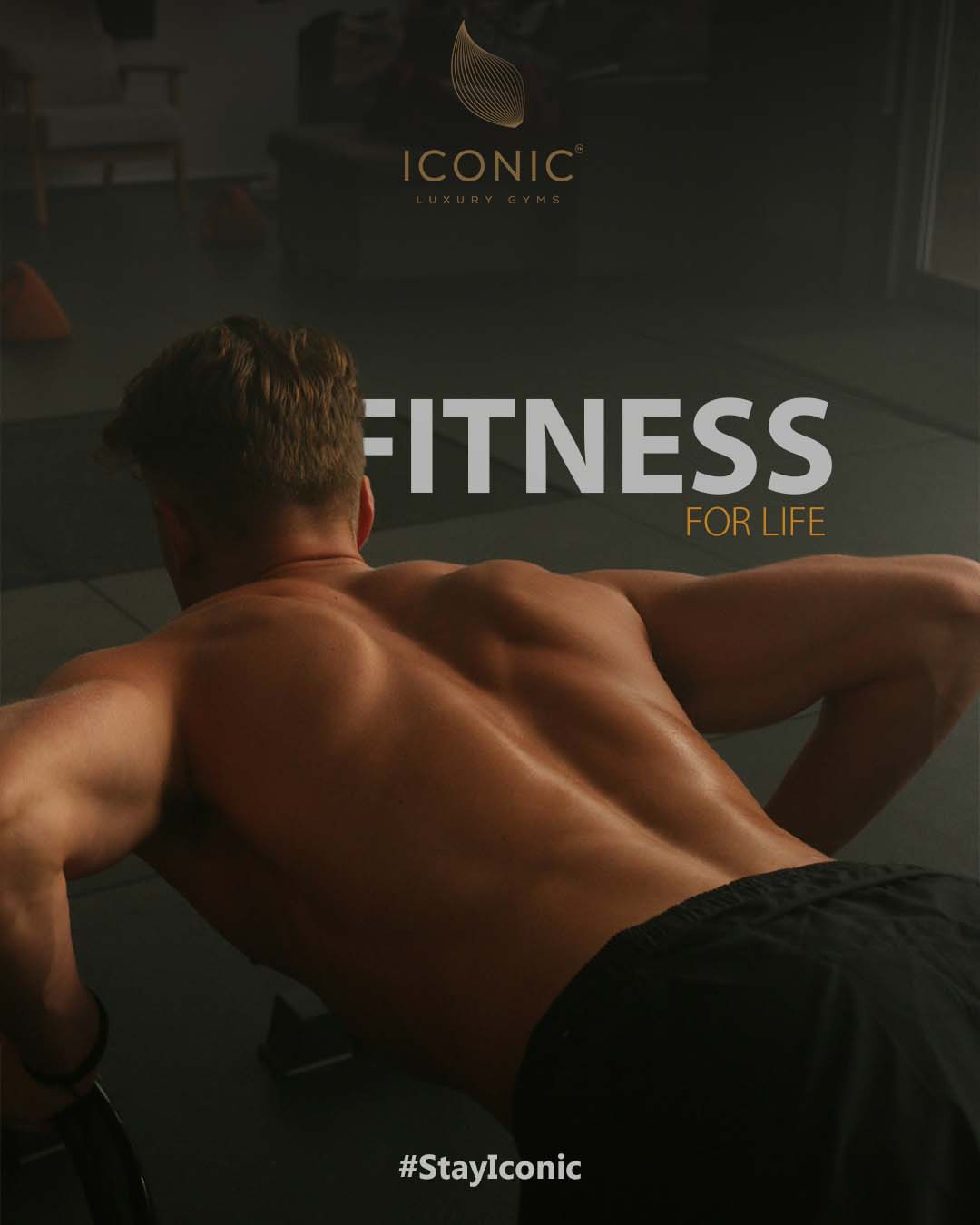 Iconic Gym
