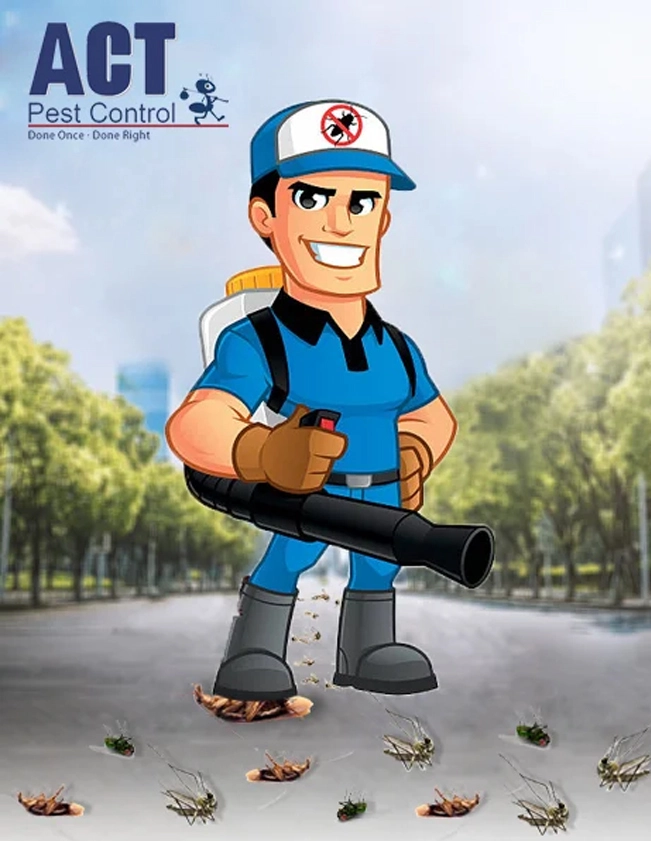 Best Pest Control in Canberra