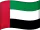 UAE Flag