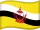 Brunei Flag