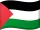 Palestine Flag