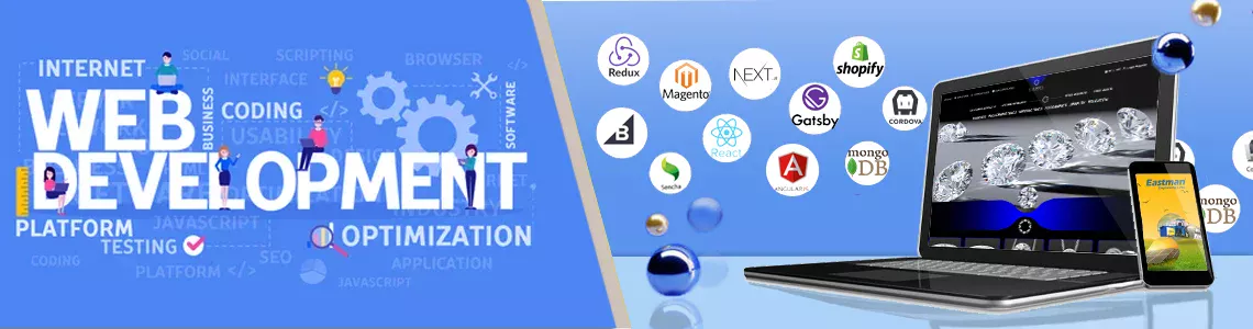 Web Development Company in Delhi