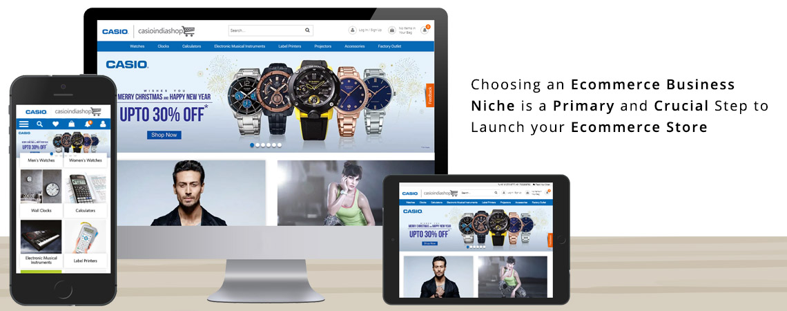 Choose an Ecommerce Business Niche