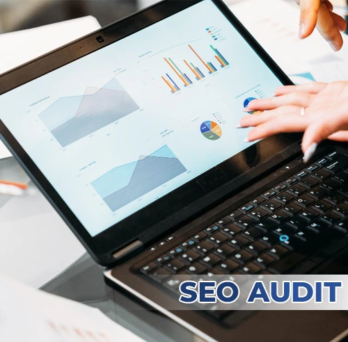 SEO Packages