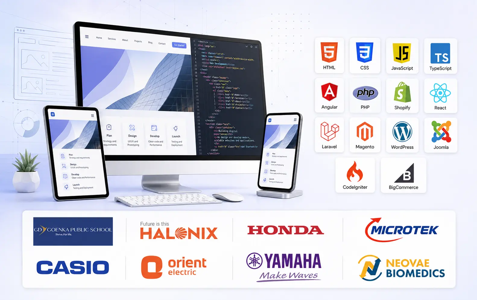 Web Development Company in Delhi, India