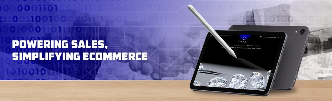 Ecommerce Website Development