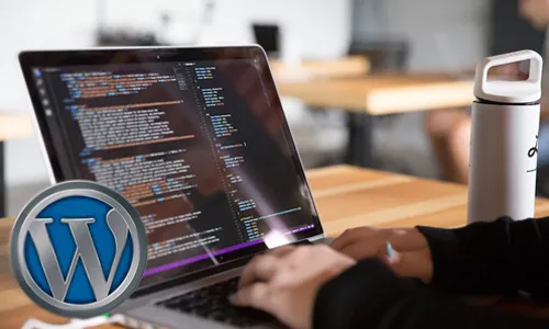 Wordpress Development in India